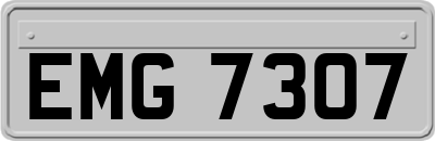 EMG7307