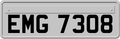 EMG7308