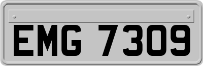 EMG7309