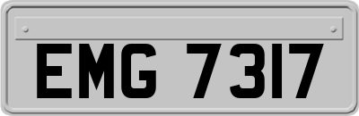 EMG7317