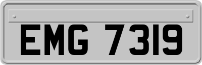EMG7319