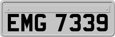EMG7339