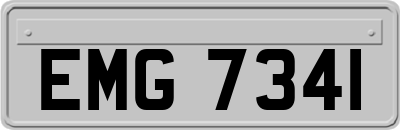 EMG7341