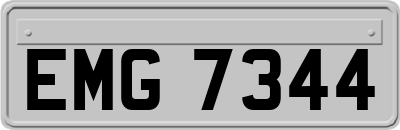 EMG7344