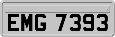 EMG7393