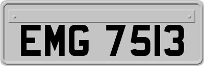 EMG7513