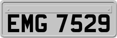 EMG7529