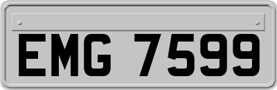 EMG7599