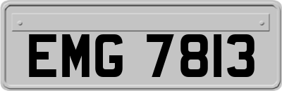 EMG7813