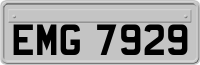 EMG7929