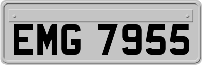 EMG7955