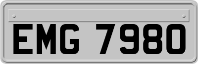 EMG7980