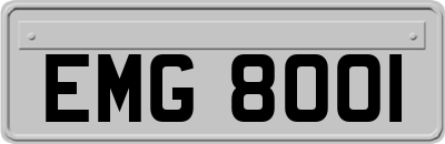 EMG8001