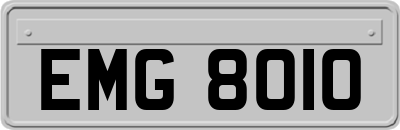 EMG8010