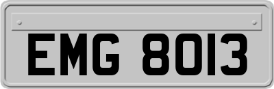 EMG8013