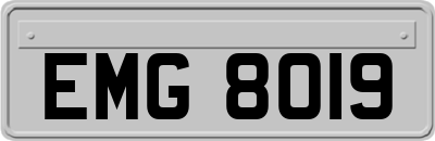 EMG8019