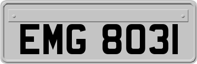 EMG8031