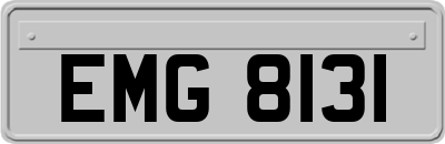 EMG8131