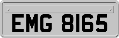 EMG8165