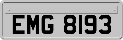 EMG8193