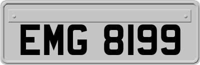 EMG8199