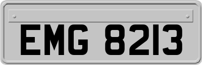 EMG8213