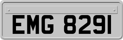 EMG8291