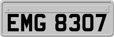 EMG8307