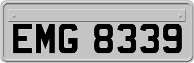 EMG8339