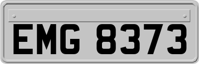 EMG8373