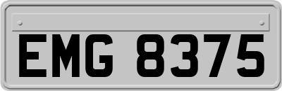 EMG8375