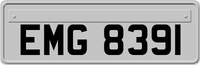 EMG8391