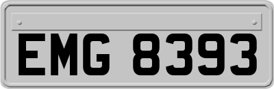 EMG8393