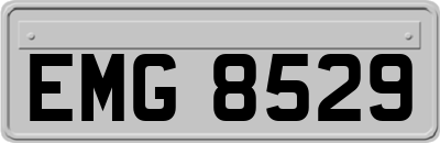 EMG8529