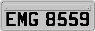 EMG8559