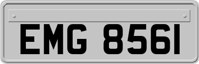 EMG8561