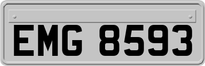 EMG8593