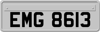 EMG8613