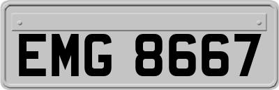 EMG8667