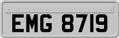EMG8719