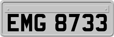 EMG8733