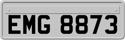 EMG8873