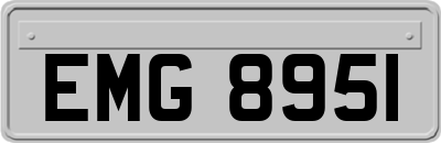 EMG8951