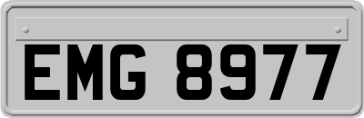 EMG8977