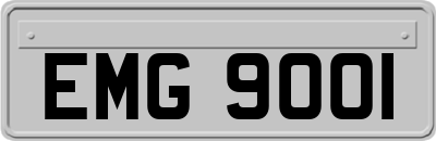 EMG9001
