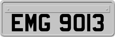EMG9013