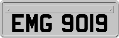 EMG9019