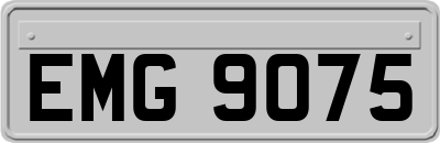 EMG9075