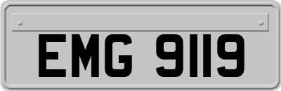 EMG9119