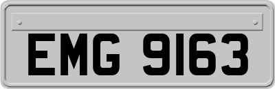 EMG9163